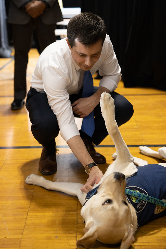 Pete Buttigieg bends down to scratch a dog's belly.